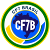 Federacao de Futebol 7 de Sao Paulo - Ff7sp